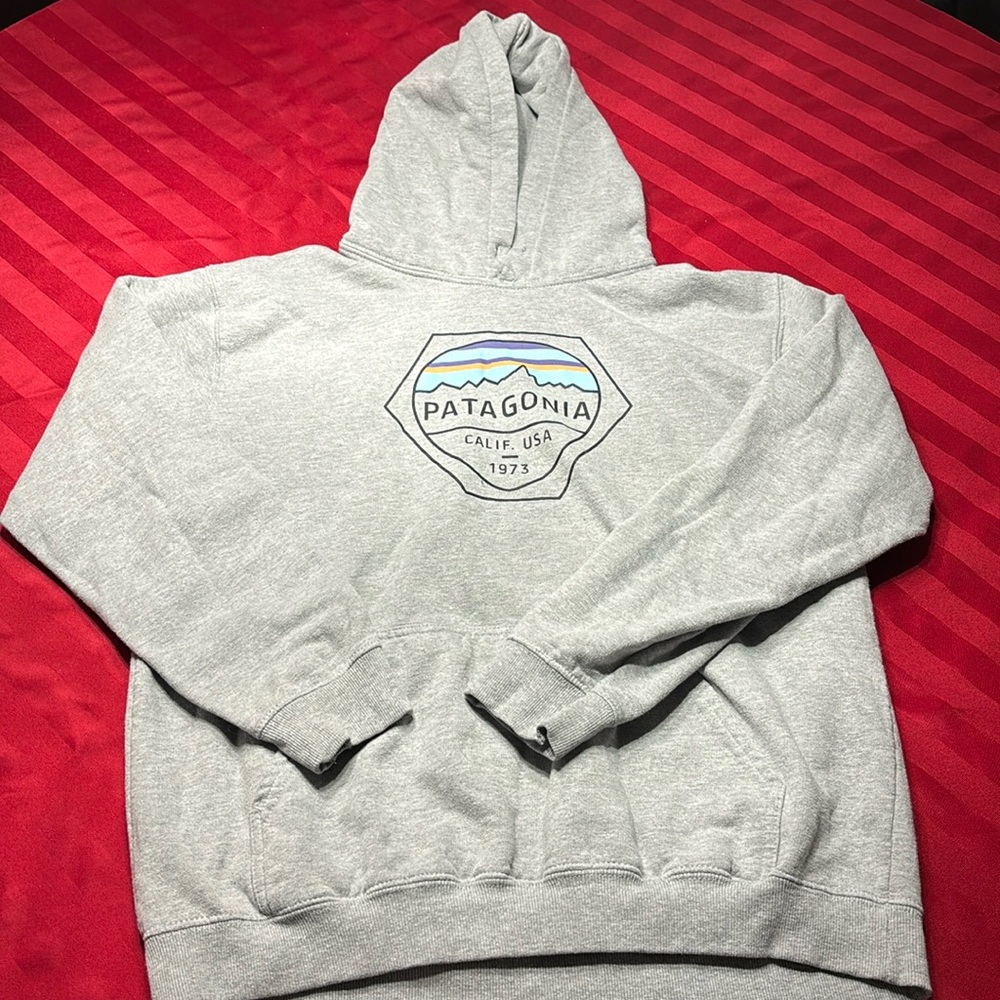 Patagonia hoodie